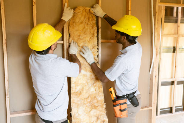 Best Attic Insulation Installation  in Morris, IL