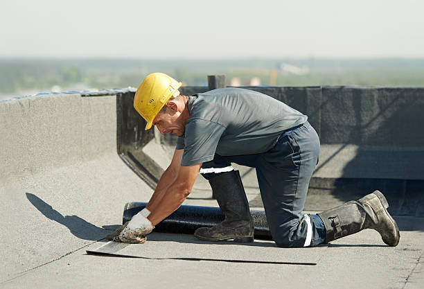 Best Commercial Insulation Contractor  in Morris, IL