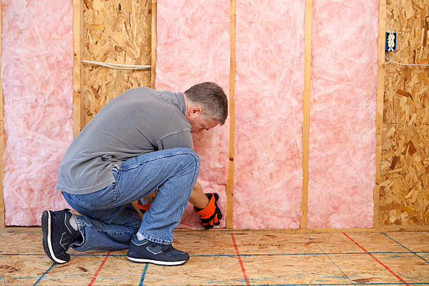 Best Insulation Contractors for Homes  in Morris, IL