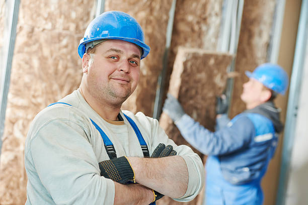 Best Insulation Contractor Near Me  in Morris, IL