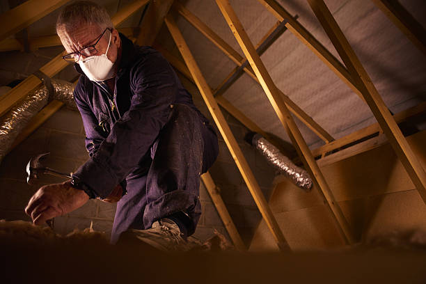 Best Blown-in Insulation  in Morris, IL