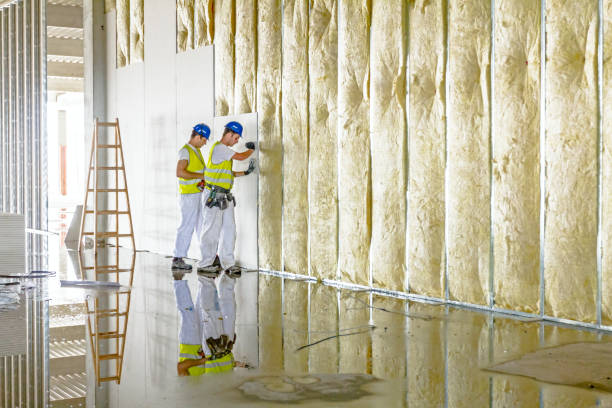 Best Garage Insulation Installation  in Morris, IL